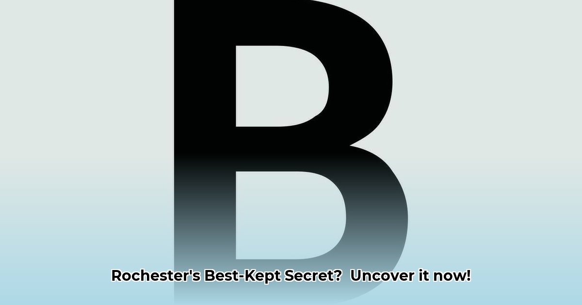 b-l-supply-rochester-ny